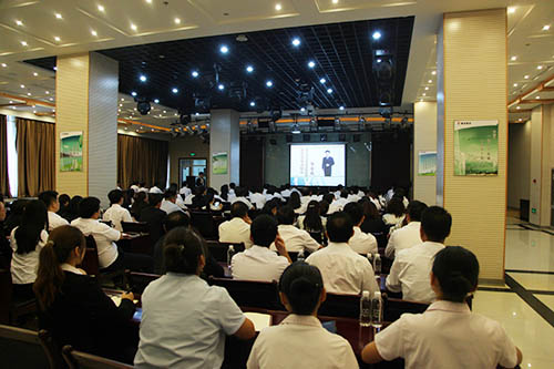 建設(shè)集團(tuán)開展商務(wù)禮儀專題培訓(xùn)