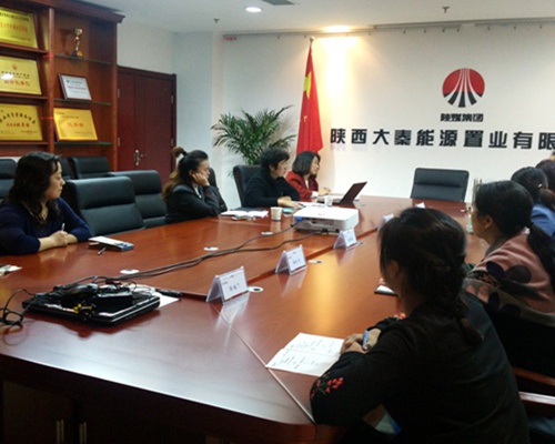 大秦置業(yè)公司積極開展銅川新區(qū)存量土地財稅業(yè)務(wù)座談交流