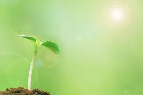 歲生之初，且聽我說