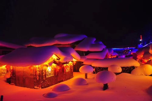 雪鄉(xiāng)夜景