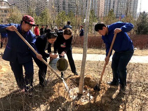 義務(wù)植樹(shù)展風(fēng)采  我與神南共成長(zhǎng)