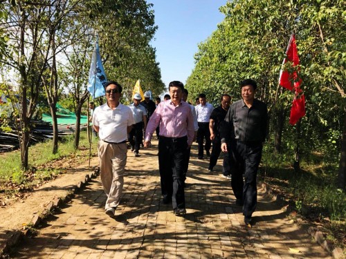 陜西省總工會黨組書記、主席白阿瑩一行蒞臨鄠邑區(qū)調(diào)研考察草堂寺健康養(yǎng)老示范項目