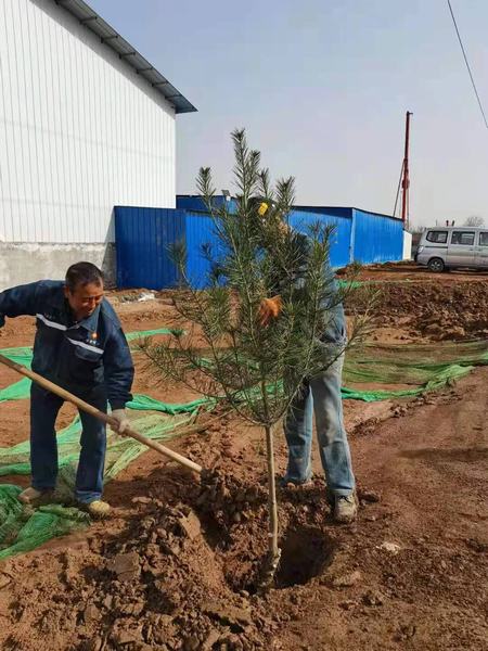 陜煤建設(shè)礦建二公司組織開(kāi)展植樹(shù)節(jié)活動(dòng)