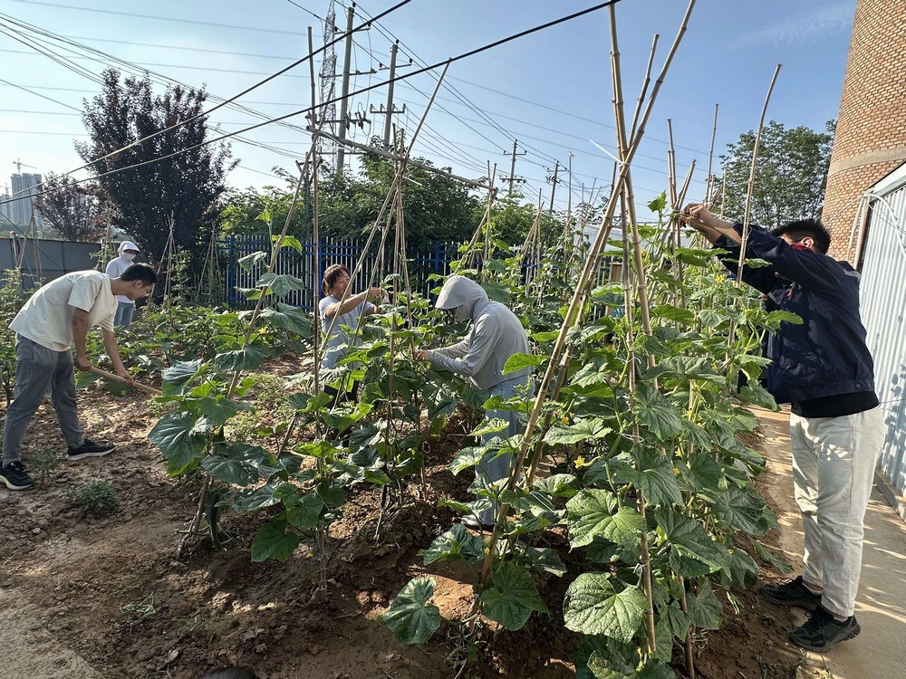 方寸菜園間，鐫刻奮斗與溫情