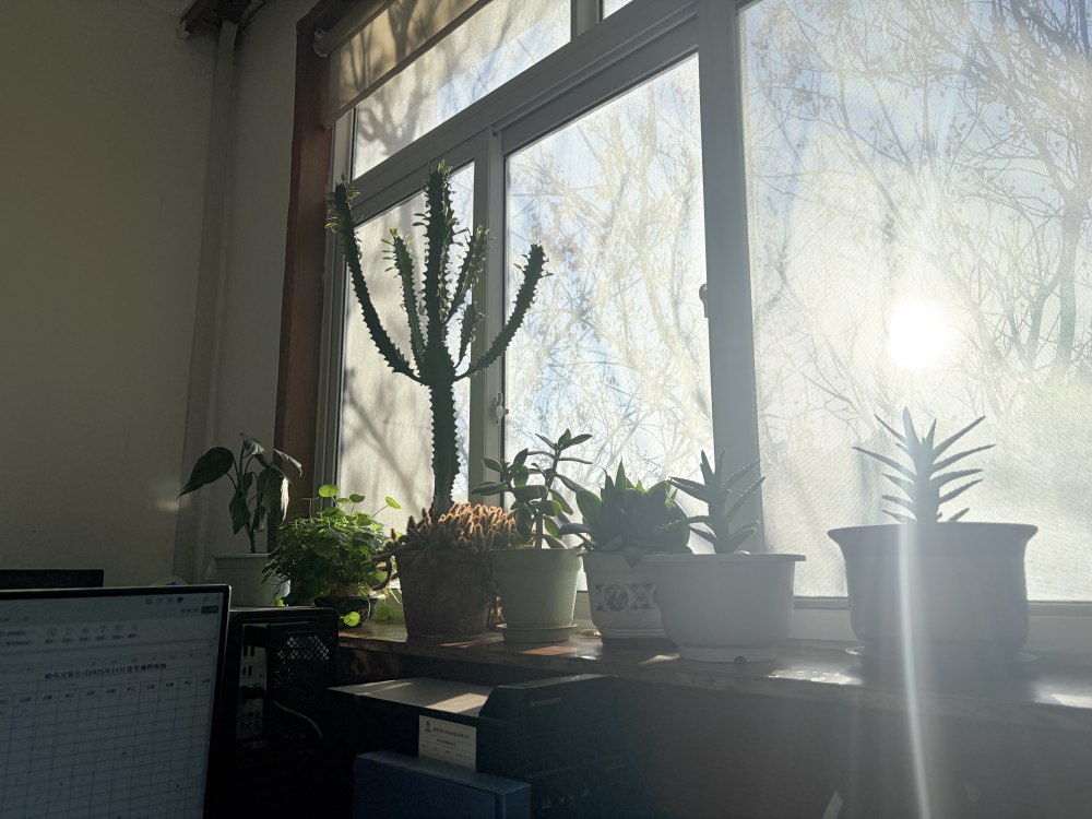 冬陽正好，步履鏗鏘